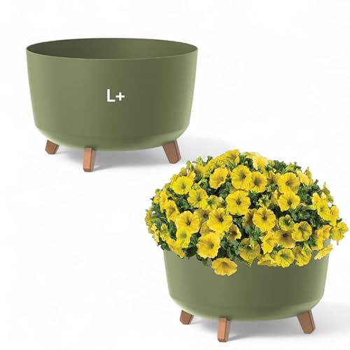 MELTOM Blumentopf Schale mit Füßen Einsatz Blumenschale Kräutertopf Übertopf, 39 cm x 27 cm (Grün)