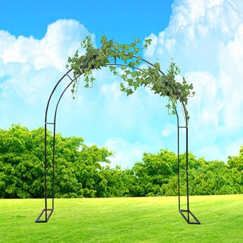 WCQSYY Arco De Jardin para Plantas Arco De Hierro Forjado para Plantas Trepadoras Arco De Rosales para Plantas Trepadoras,Blanca,W1.2M*H2.2M
