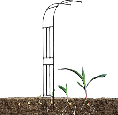 Arco Rampicante da Giardino Nero 60x240 Cm Arco A Traliccio A Mezzo Lato per Rose Rampicanti Cremagliera di Supporto Tubo Zincato 20 Mm Arco di Rose con Pergolato, Black,Rose, 220x240cm/7.2x7.9ft