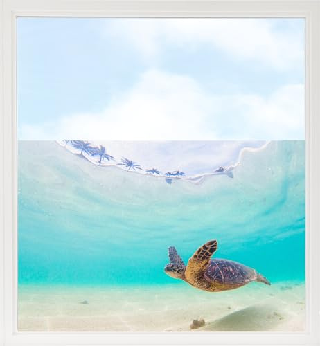 GRAZDesign Fensterfolie Bad Blickdicht bunt Schildkröte - Sichtschutzfolie maritim Badezimmer - für Dusche & Fenster - 100x57cm