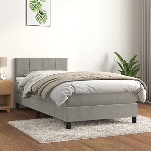 Gecheer Boxspringbett mit Matratze Bettgestell Bettrahmen Designerbett Gästebett Jugendbett Hellgrau 100x200 cm Samt-Q138