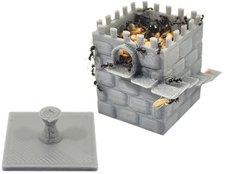 ANTHILLSHOP Ameisenfutter, 100 g, Auslöser für Samen, für Ameisen und Ameisen (klein, 30 x 30 x 35 mm)