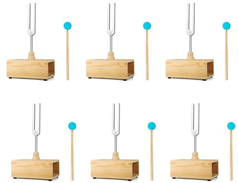 Lckiioy 6X 528HZ Stimmgabel, Stimmgabel Resonanzkasten, für Klangtherapie, Yoga, und Entspannung