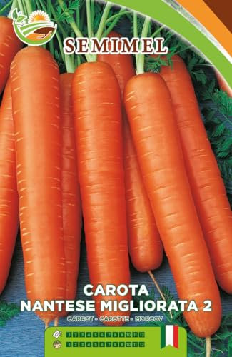 Carota Nantesa Migliorata 2- Semi di Carota Arancione Precoce, Radice Cilindrica Carnosa e Tenero Cuore Raccolta Estiva e Autunnale 2 confezioni