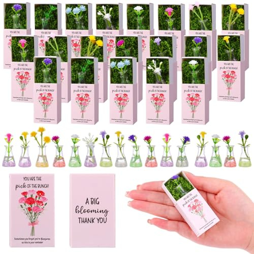oneant 24 Sets Emotional Support Employee Appreciation Gifts Bulk Flower Breathing Box Luminous Mini Bud Vases Inspirational Cards Back to School Thank You Favors for Staff Teacher Volunteer