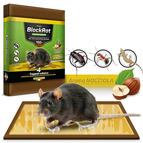 Trappola Per Topi Grandi e Ratti, 4 Tavolette di Colla Topicida Professionale Ultra Adesive Senza Veleno, Cattura Insetti, Scarafaggi, Gechi, Roditori, Maxi Trappole Ecologiche, Aroma Nocciola