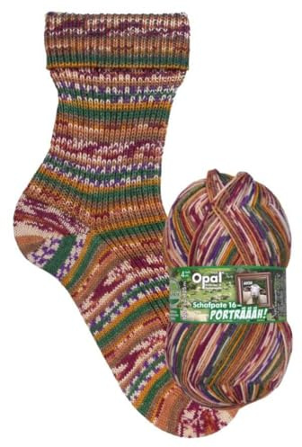 Opal Schafpate 16 Porträäh (425m) 4-fädig Garn - Wollmischung, zum Stricken von kuschelig warmen Socken mit einzigartigen Farbmustern, 11455, 1 x 100g