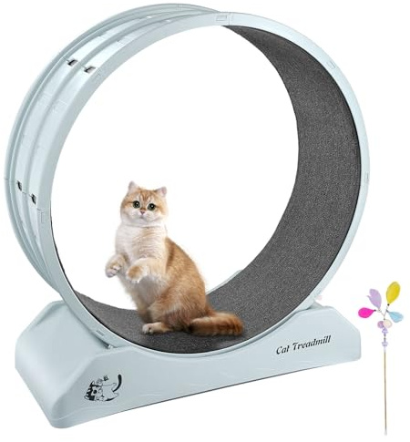 BTYQKZVPM Cinta de Correr para Gatos de Interior, Cinta de Correr for Gatos, Rueda Ejercicio 31,5 Pulgadas diámetro, Multicolor(Blue)