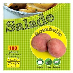 Rosabelle Rouge 100 Plants de pomme de terre