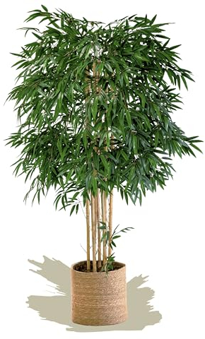 Maia Shop | Künstlicher Bambus | Kunstpflanzen | Künstlicher Baum | Maße: 190 x 80 cm | Kunstpflanze Groß | Fake Plant | Plastik Pflanze | Deko | Deko Wohnzimmer