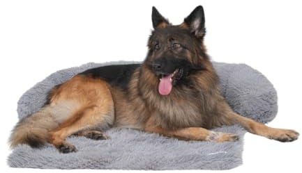 pfoten&nasen® Hundebett Sofa [Hellgrau, XL - 115x95cm], Sofabett Hund, Sofaschutz Hund, Wasserdicht Hundematte Waschbar, Hundekissen für Große, Mittelgroße und Kleine Hunde, Hundesofa.