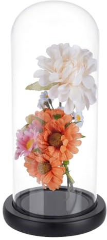 UNICRAFTALE Campana de cristal transparente de 27 cm con base negra hecha a mano cúpula de vidrio de coleccionista antigua para plantas suculentas medallas fotos luces de hadas decoración de mesa
