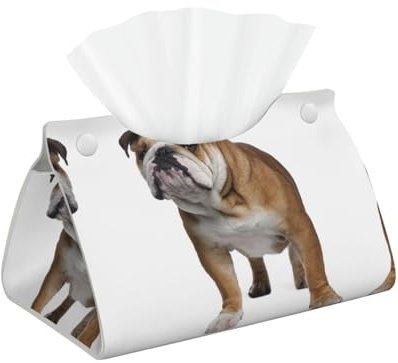 Quadratisches dekoratives Taschentuch-Aufbewahrungsregal, Motiv: Englische Bulldogge, Haushalt und Büro, Auto