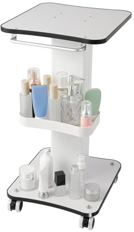 MEELRYD Chariot de salon de beauté portable avec compartiment de rangement et roulettes, charge maximale 15 kg, chariot de salon de beauté