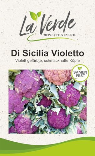 Blumenkohl Di Sicilia Violetto Kohlsamen