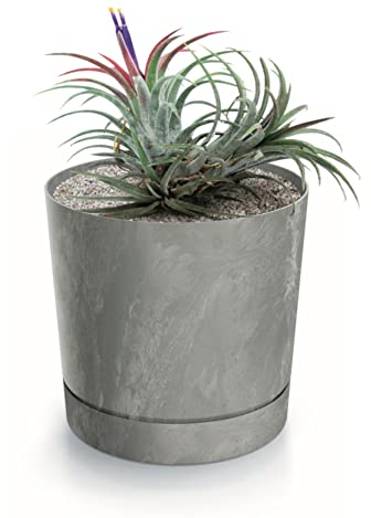botle Blomkrukor rund plast betongutseende, planteringskrukor, grå, ljusgrå, underlägg, odlingskrukor, 39 cm, planteringskruka, suckulenter, kaktusar, örter, inomhusväxter, dekoration, hem, balkong, trädgård, kontor