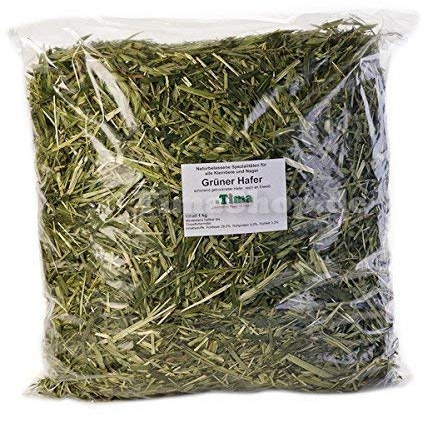 Tima Grüner Hafer 1 kg Vorteilspack für Nager und Kleintiere