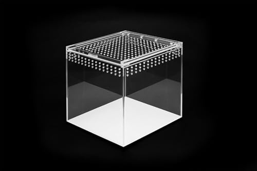 HAPPET Acryl Terrarium - 360° Durchsichtig, Optimale Belüftung, Magnetverschluss - Ideal für Spinnen, Schnecken, Eidechsen, Kleine Reptile und Insekten (15x15x15cm)