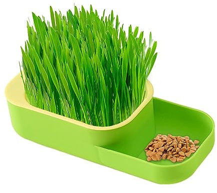 Anloximt Katzengras-Übertopf | Hydroponische Pflanzkästen für Katzengras | Sprouter Tray-Pflanzbox, auslaufsicherer Behälter für den Anbau von Bio-Katzengras, zur Kontrolle von Haarballen