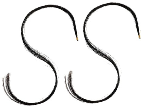 BESPORTBLE Lot De 2 Mèches De Crin D'archet Naturel Pour Alto, Accessoires De Réparation D'archet D'alto, Crin De Cheval Solide, Fournitures Pour Étudiants Et Débutants, Usage Portable