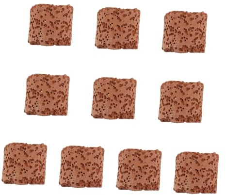 FUTUREORYY 10 Piezas Anillo Fijo para Plantas Acuáticas Soporte Duradero para Decoración de Peceras Accesorio Práctico para Fijar Plantas Naturales y