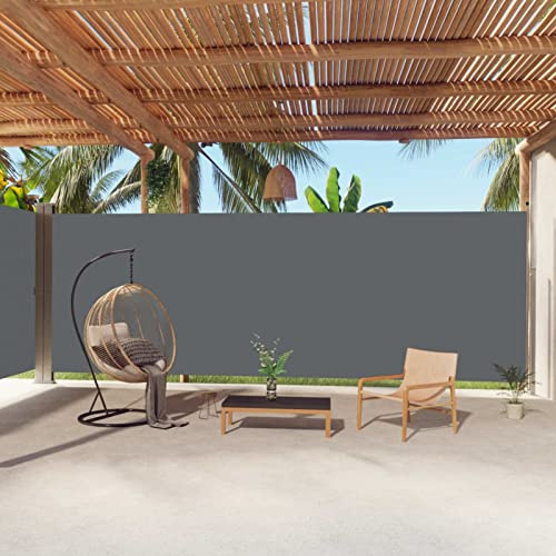 ARKEM Toldo Lateral retráctil Antracita 220x1000 cm Patio Pantalla de Terraza Mampara Parasol de Exterior Jardín