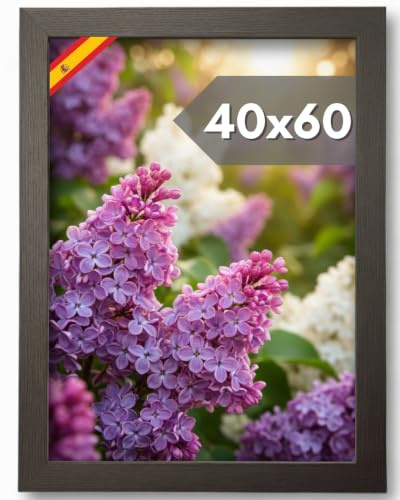 NOOGUI Bilderrahmen 40×60, Schwarzes Holz, Mit entspiegeltem Plexiglas | Für Fotos, Poster oder Puzzles, Vertikale und horizontale Positionierung, Stärke 2 cm