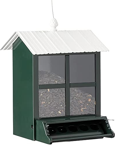 More Birds Squirrel-X Futterstation mit Sitzstange für Sonnenblumen/gemischte Samen, 4 Futteröffnungen, 2,7 kg Kapazität, grün
