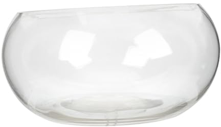CIYODO Kleines Aquarium Glas Runde Schale Durchsichtiges Fischglas Schreibtisch Pflanzenterrarium Hydrokultur Deko Aquarium