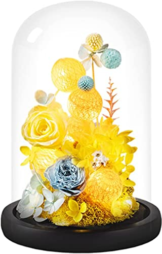 MAYABI roseflower lamp,eternal roseDome Led Light,Forever Fresh Yellow Rose In Glass Dome, Preserved Fresh Rose With Led Lamp String, Night Lights Romantic For Mom/Wife/Women