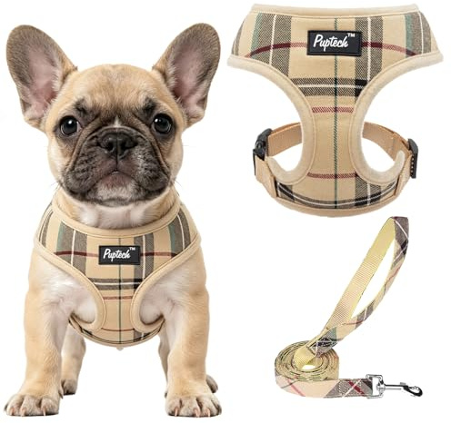 Pupteck Soft Mesh Dog Harness Sized and Leash Set Pet Puppy Cat Comfort Padded Vest No Pull Harnesses, Beige, Medium