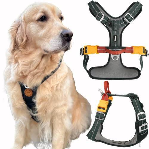 Nomadog Trailblazer Anti Zug Hundegeschirr Grosse Hunde mit Griff - Gepolstert, Verstellbar für Ganztägigen Komfort, Aluminium-Beschläge, 3M Reflektor – Ideal Für Aktive Hunde (L)