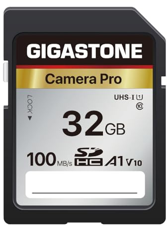 GIGASTONE 32GB SDHC Speicherkarte, Kamera Pro, bis zu 100 MB/s, kompatibel mit Digitalkameras von Canon Olympus, Full HD Videoaufnahmen, A1 V10 UHS-I U1 Klasse 10