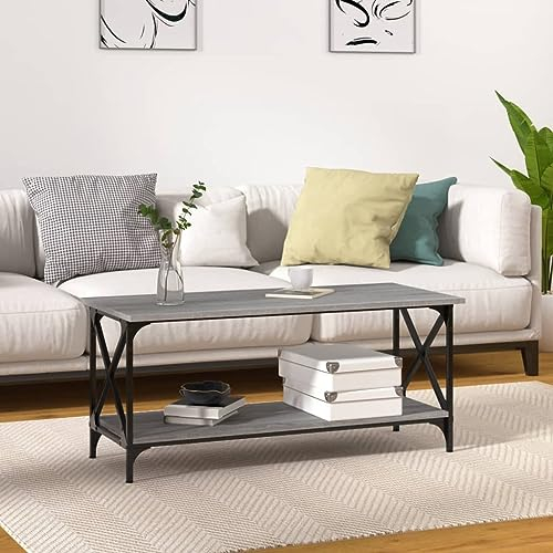 BUKSCYJS Tisch Wohnzimmer,Truhentisch Couchtischcouchtisch Grau Sonoma 100x45x45 cm Holzwerkstoff Und Eisengeeignet FüR Wohnzimmer, Neben Dem Sofa, Arbeitszimmer, Konferenzraum