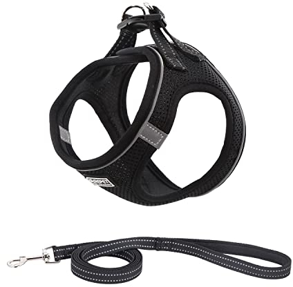 Suredoo Hundegeschirr mit Leine Anti Zug Geschirr Reflektierend Brustgeschirr für Kleine Hunde, Haustiere, Welpen, Katzen (Schwarz, S)