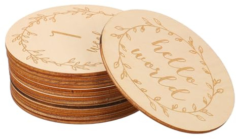 NUOBESTY 14 pièces Cartes de Jalons pour Disques Photo Accessoires Décoration de Chambre et Souvenirs pour