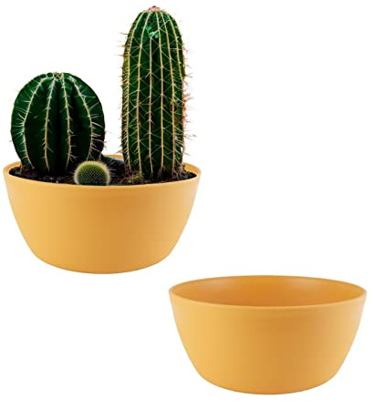 ECOMACETAS FLOWERPOT STORE Maceta para Cactus, Mini Suculentas, Crasas o Bonsai - Redonda Baja Amarilla (2, 20 cm)