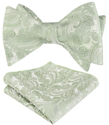 Alizeal Herren Retro Paisley Selbst Fliege und Taschentuch Set
