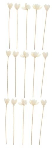 Alipis 3 Juegos Flor De Hierba Tong Batom Ambientador Difusor Aroma Air Fruer Fragancia Varitas De Incienso Palos Difusores De Vid Vides De Ratán De Aromaterapia Rota 5 Piezas * 3