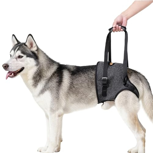 Imbracatura per Cani, Imbracatura di Supporto per Zampe Posteriori per Cani di Taglia Media e Grande 26-40 kg, Imbracatura per Cani Anziani, Disabili e con Mobilità Ridotta - Grigio, XL