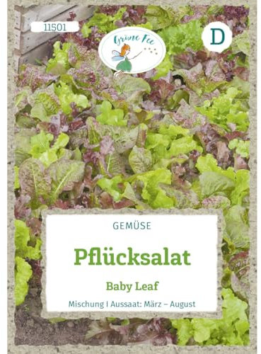 Grüne Fee - Lechuga de lechuga Baby Leaf Semillas - 11501