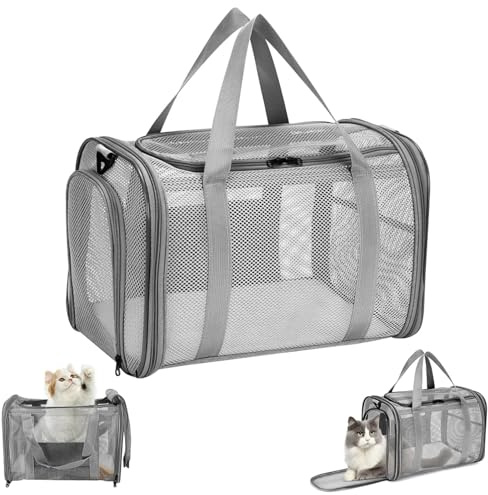 Quuylin Trasportino per Gatti, Borsa Trasportino Cani Gatti con Tracolla, Trasportino Gatto Portabile e Traspirante, Borsa Pieghevole per Cuccioli per Treno, Viaggi(42x26x29cm)
