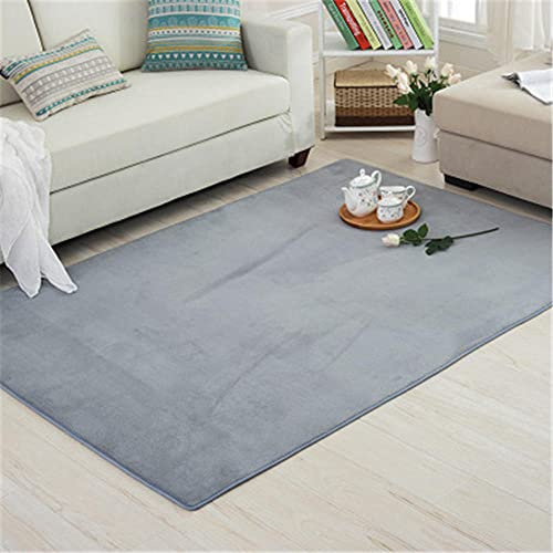 Alfombra de Terciopelo Coral Grueso de Color sólido Calidad Gris brumoso Suave Lavable Antideslizante Grande Rugs Rug Minimalista Moderna Sala De Estar Dormitorio Tatami Gateando Estera -100×200cm