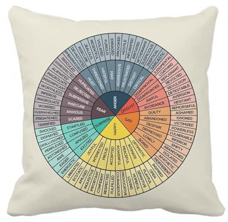 Wheel of Emotions Feelings Velvet Throw Pillow Covers Cozy Square Pillowcases Home Decor for Bed Couch Sofa Therapy Office Living Room Cushion Covers Counselor Physical Therapist Gifts 12x12