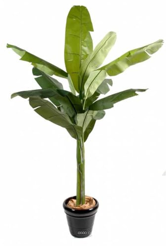 Artificielles.com - Bananier en Pot Artificiel H 270 cm Superbe de réalisme - dimhaut: H 270 cm - Couleur: Vert