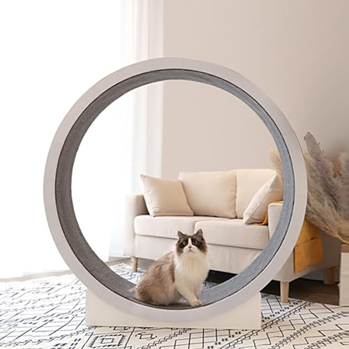 JSLJJBD Katzenlaufrad Großes Laufrad,katzenlaufrad,laufrad Katze Katzen,großer Rollläufer, Katzenklettergerüst, Katzenlaufrad, Geeignet Für Indoor-katzenfitnessrad 120 * 27 * 124cm White