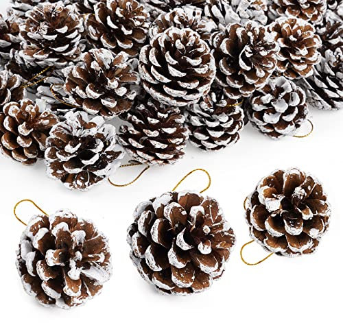 50Pcs Christmas Pine Cones for Decoration, Natural Pinecones Ornament Snow Pine Cone With String for Gift DIY Crafts Home Xmas Tree Wreath Dried Garland Holiday Winter Decoration (4-6 CM)