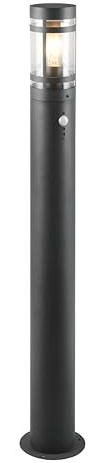 Reality Leuchten Außen Wegeleuchte Paloma R41719142, Metall Anthrazit, Schirm Kunststoff klar, exkl. 1x E27, Bewegungsmelder