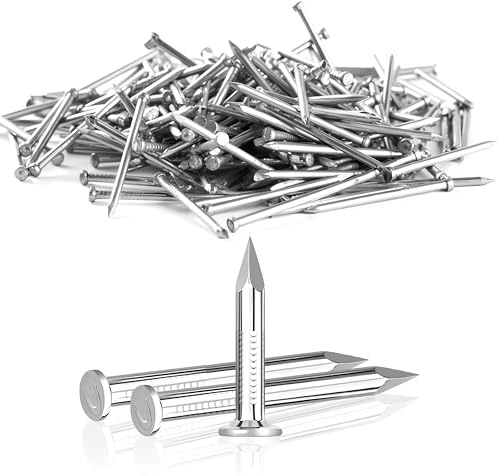 Jyvex 200 Stück Stahlnägel 20mm Nägel für Betonwände Verzinkt