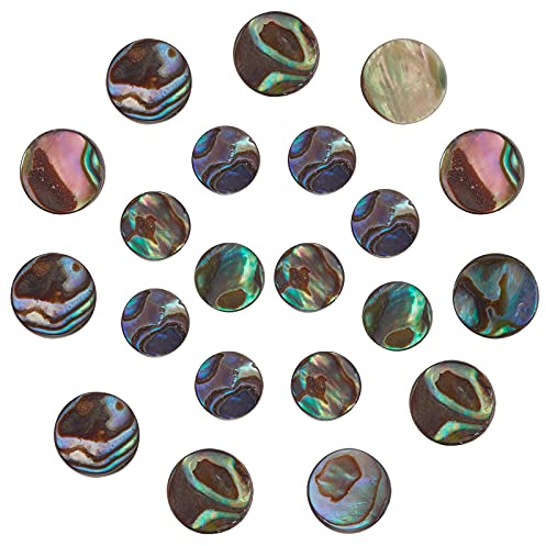 SUNNYCLUE 1 boîte 20 pièces Coquille D'Ormeau Naturelle Plate Forme Ronde Perles Paua Coquille Colorée en Vrac Espaceur Pièce Charmes Trou Foré pour la Fabrication de Bijoux Bracelets Colliers